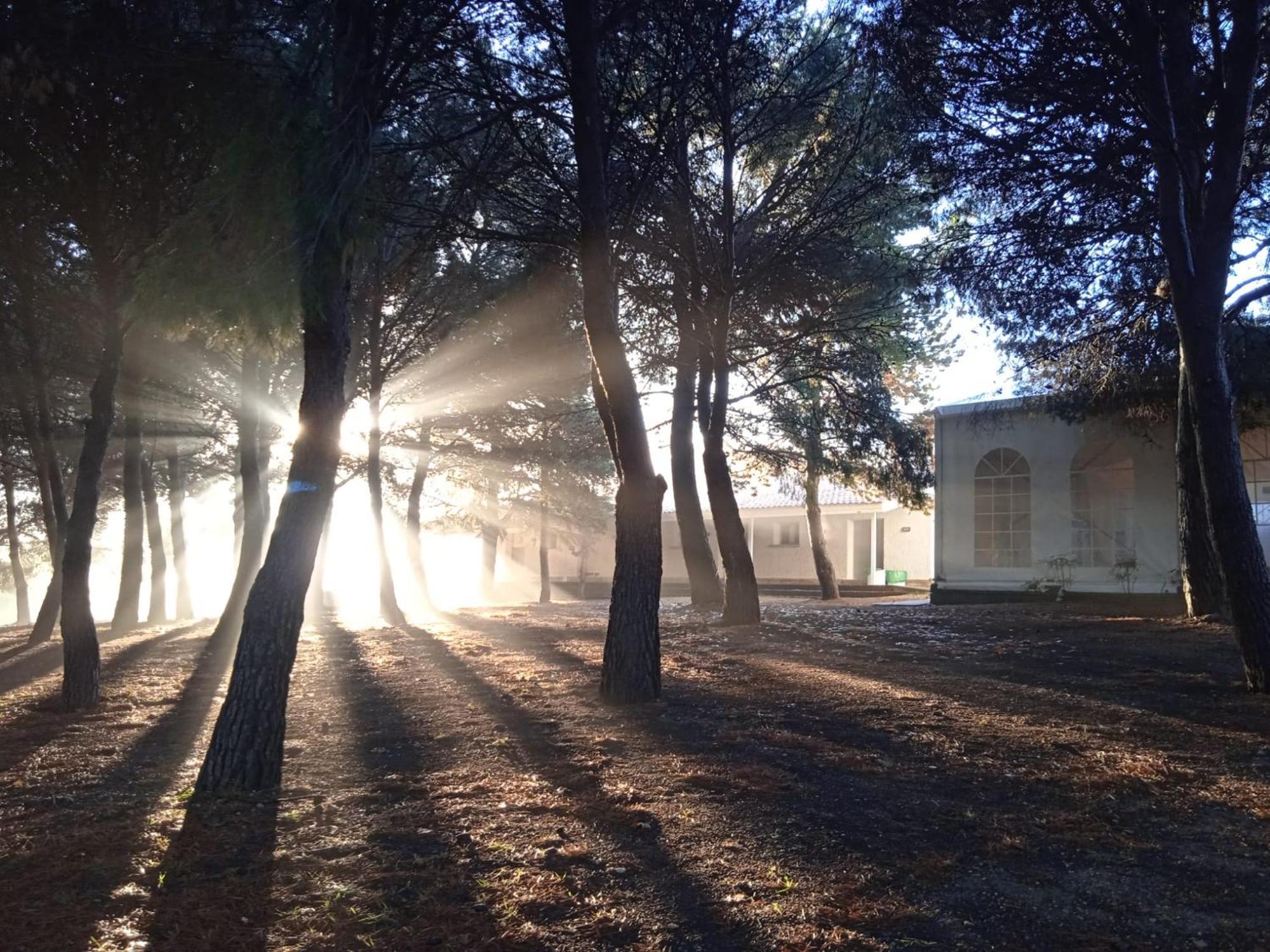 Albergue Zaragoza Camping Εξωτερικό φωτογραφία